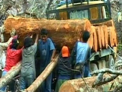 DEFORESTACION 09  RADIACTIVO